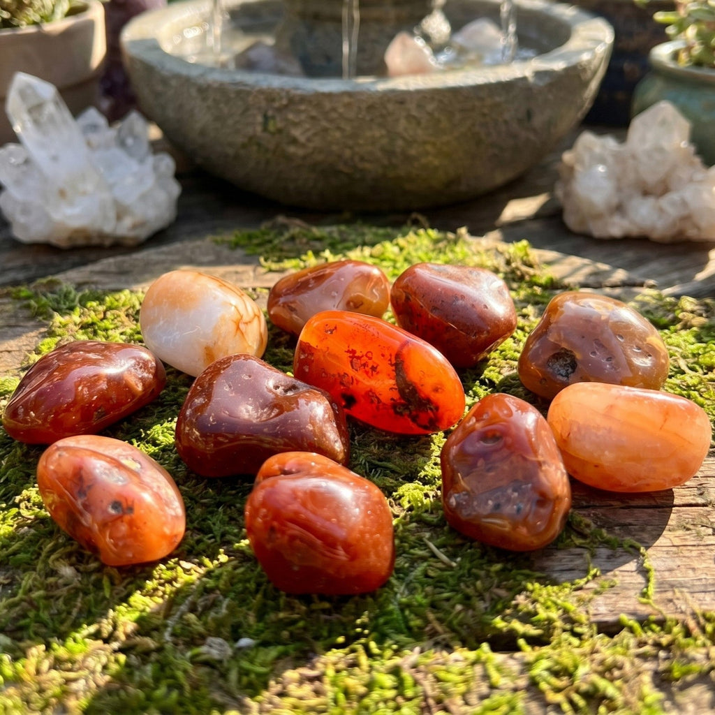 Carnelian Tumbled Stones | Imagination Station