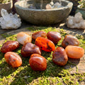 Carnelian Tumbled Stones | Imagination Station