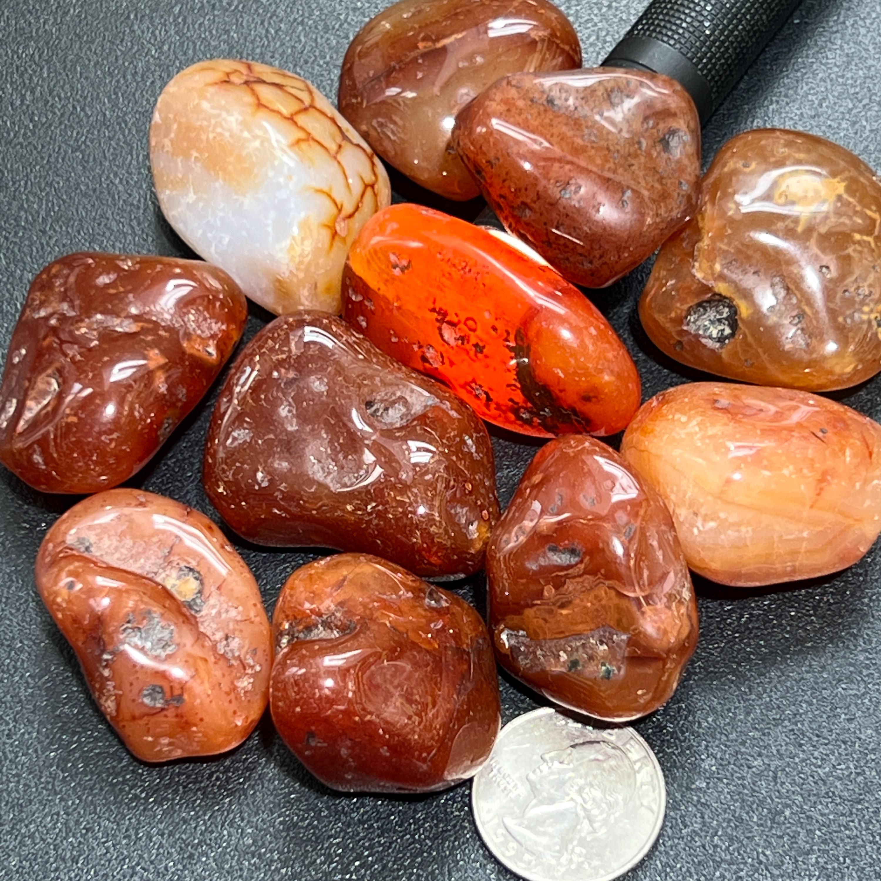 Carnelian Tumbled Stones | Imagination Station