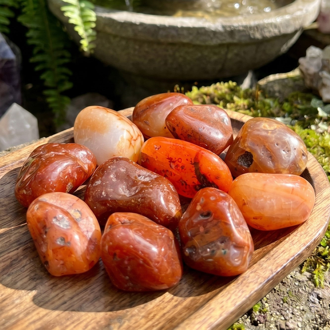 Carnelian Tumbled Stones | Imagination Station