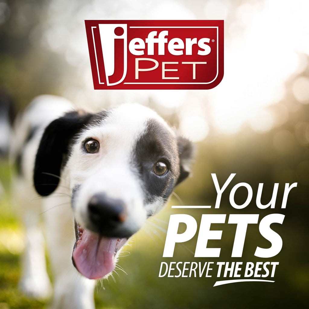 Jeffers Paw Ring Tugger Natural Rubber Dog Dental Chew & Fetch Toy