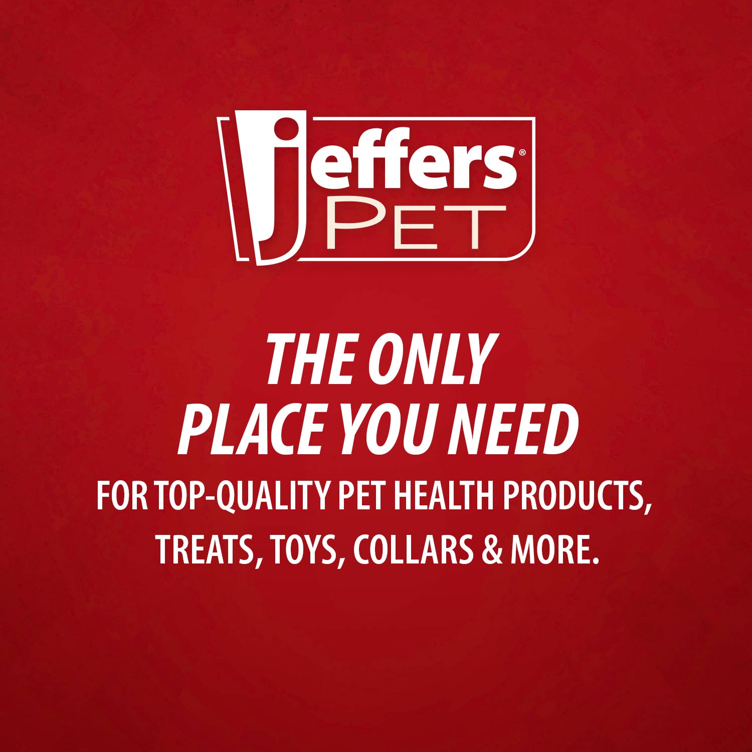Jeffers Paw Ring Tugger Natural Rubber Dog Dental Chew & Fetch Toy