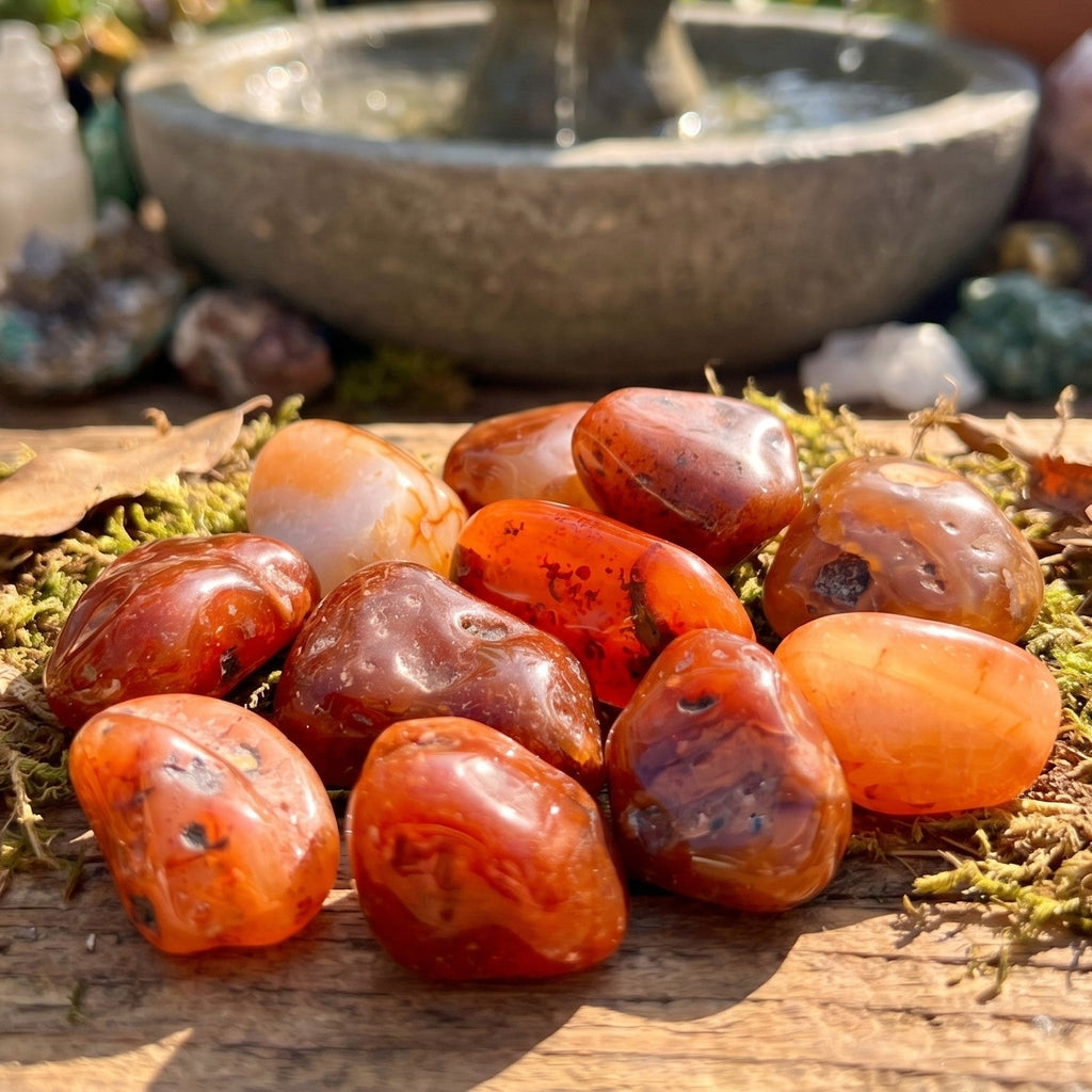 Carnelian Tumbled Stones | Imagination Station